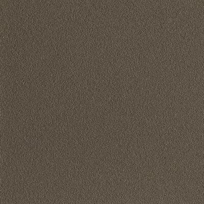 sample swatch of westbury paint color bronze fine texture